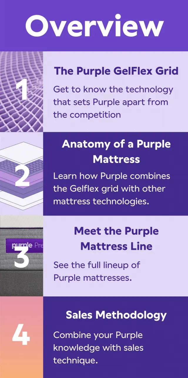 Rise course interface for a Purple mattress sales-enablement training